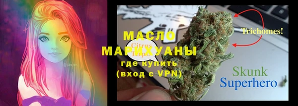 твердый Арсеньев