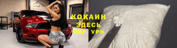 твердый Арсеньев
