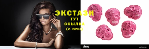 МДПВ Пересвет