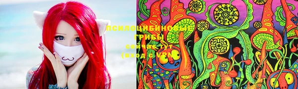 твердый Арсеньев