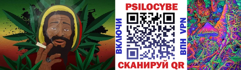 мориарти как зайти  закладки  Тетюши  Галлюциногенные грибы Psilocybine cubensis 