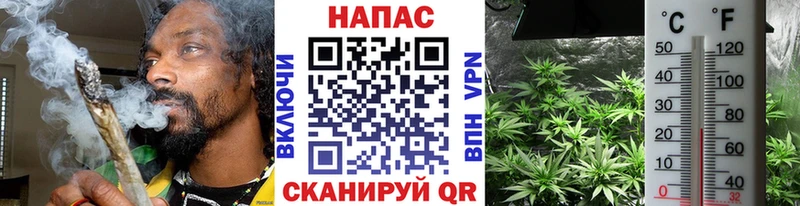 Конопля конопля  продажа наркотиков  Тетюши 
